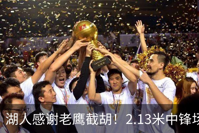 湖人感谢老鹰截胡！2.13米中锋场均8+4远低预期 萨总930万亏哭了